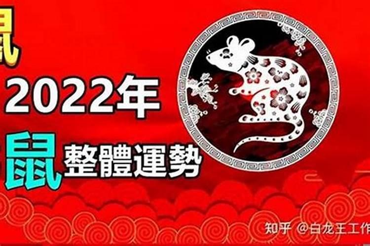 1996属鼠人2023年运势，2023年96年出生怎么样