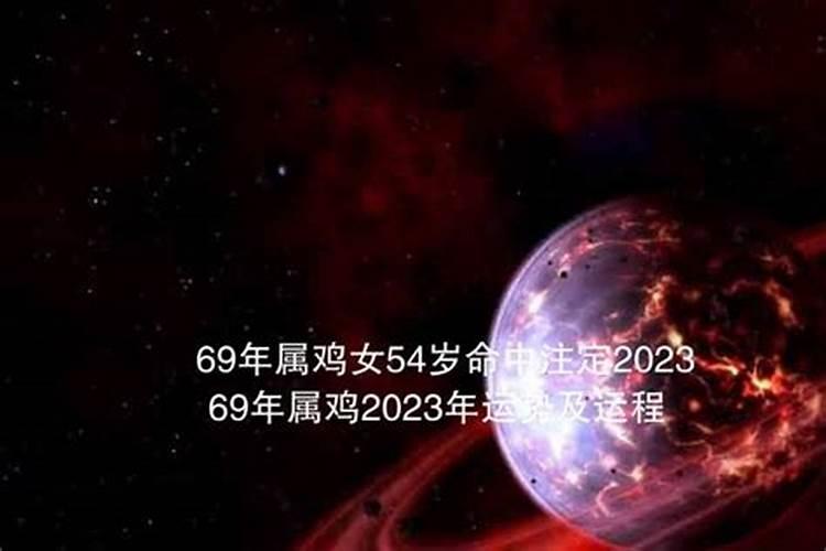 1987的兔子2023年运势