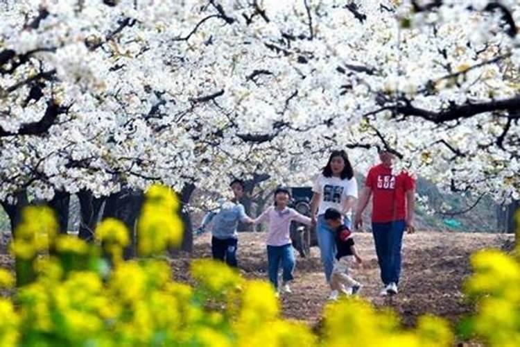 清明节为什么祭祀