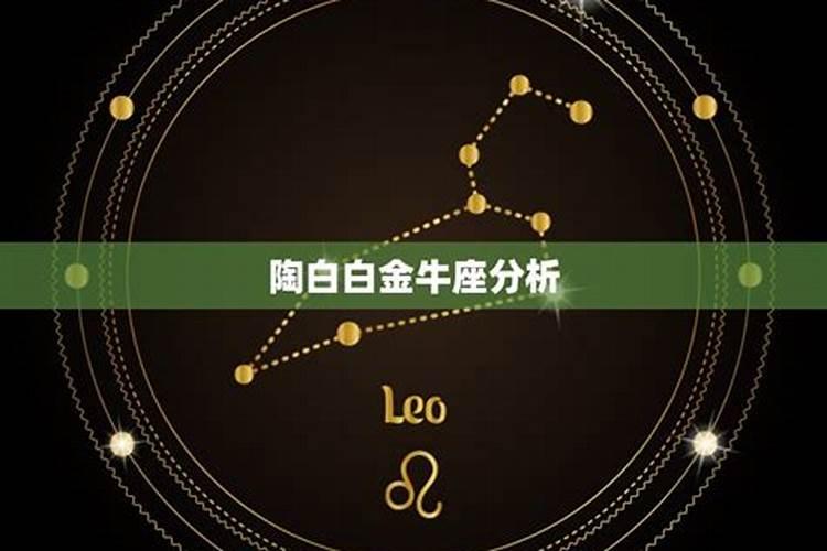 陶白白最全星座分析金牛