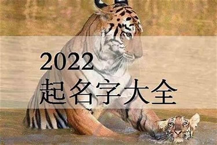 2023年属虎的宝宝取名