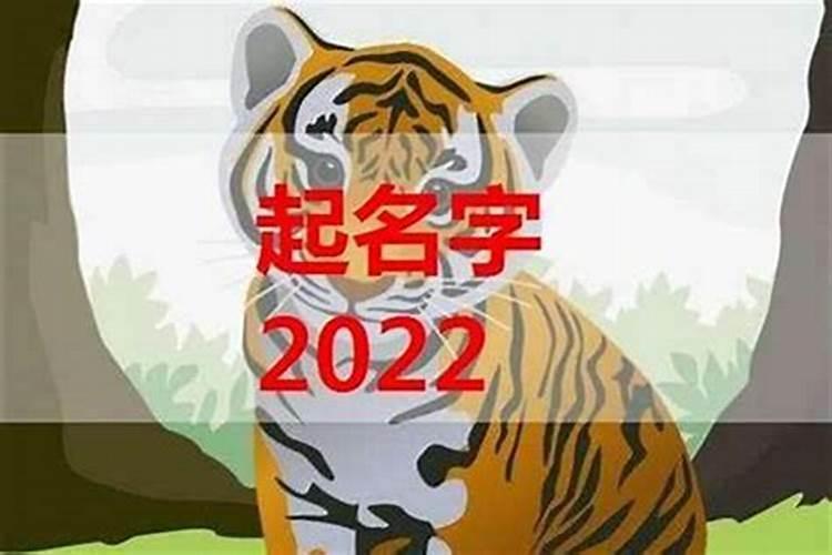 2023年属虎的宝宝取名