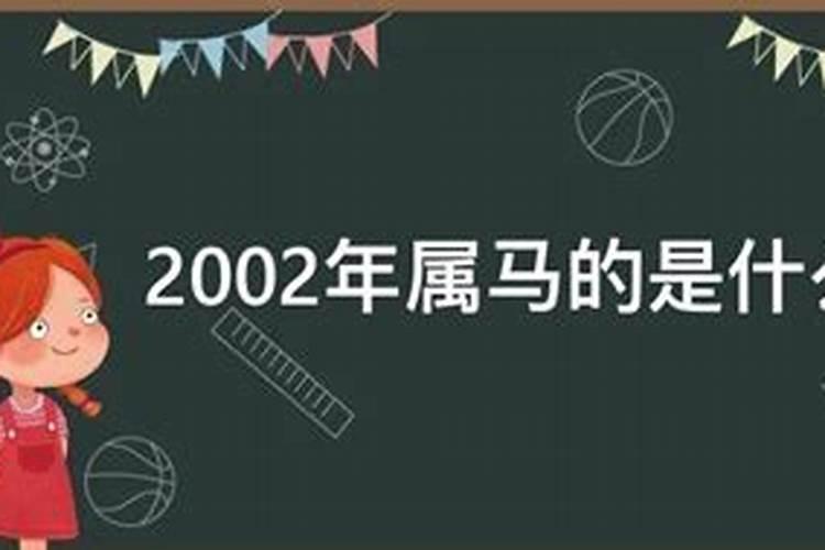 农历2002年属马是什么命