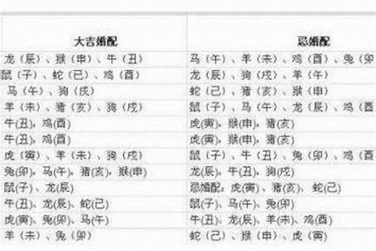 71年猪和82年狗属相配不配对