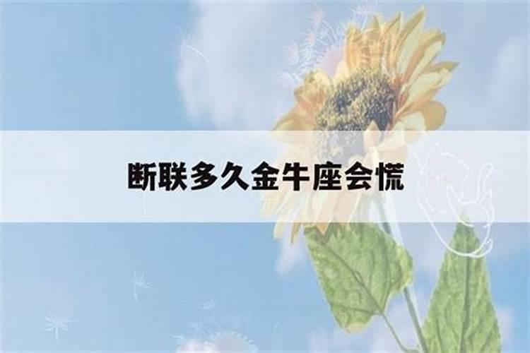 金牛男断联多久会放弃