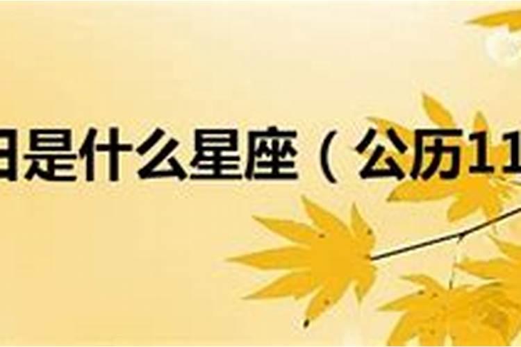 农历1998年11月21日是什么星座