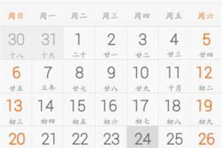 阴历1982年11月19出生今年运势