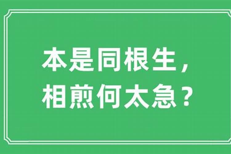 相煎太急是什么生肖动物