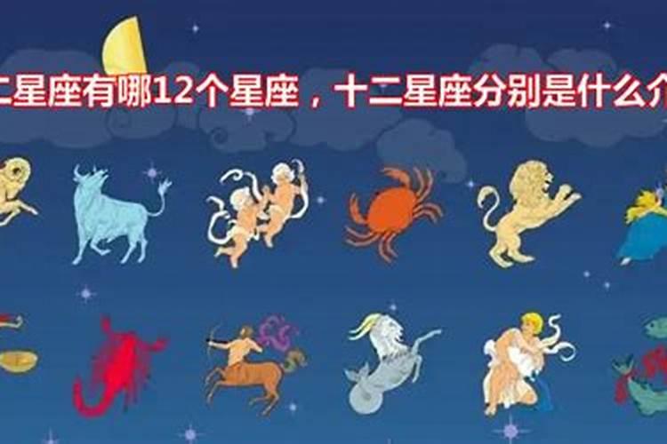 12星座各个特点