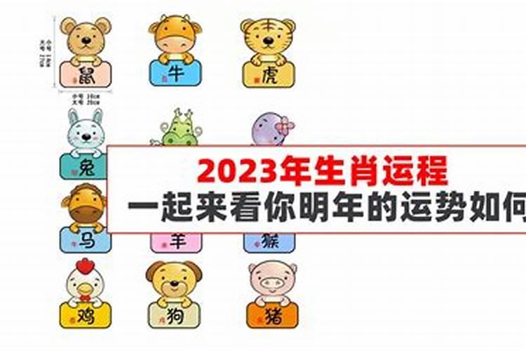 2023年那个生肖运势好