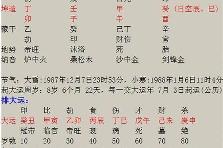 12生肖谁是王