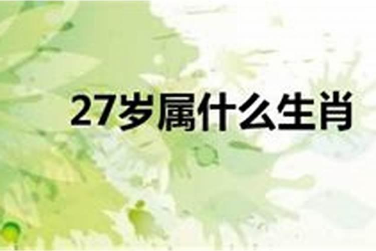 27岁是那年属什么