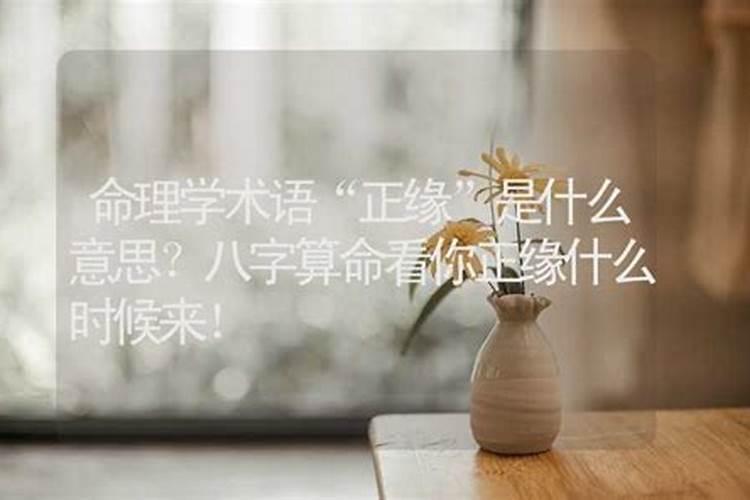 算命里的正缘是什么意思