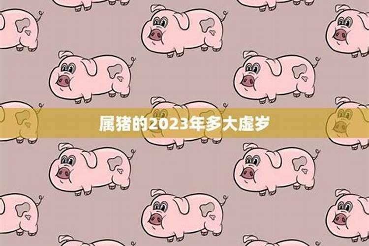 2023年属猪的多大