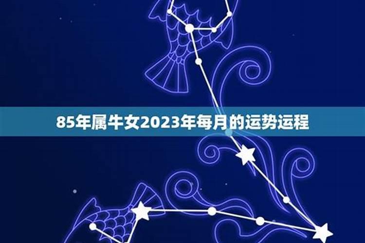 属牛女2023年运势及运程每月运程