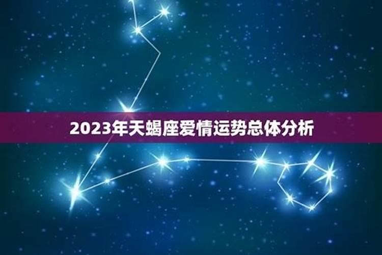 2023年天蝎座婚姻分析感情走向怎么样