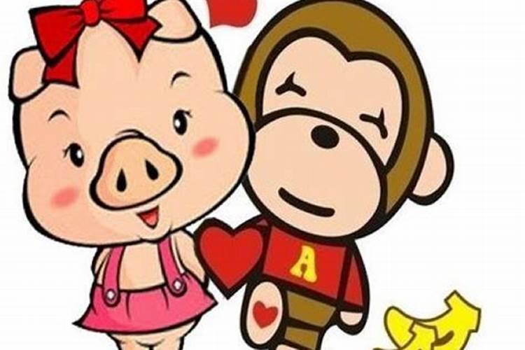猪和猴合不合适婚姻