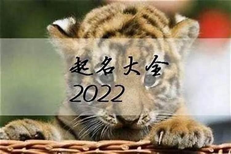 2022年属虎女宝宝小名