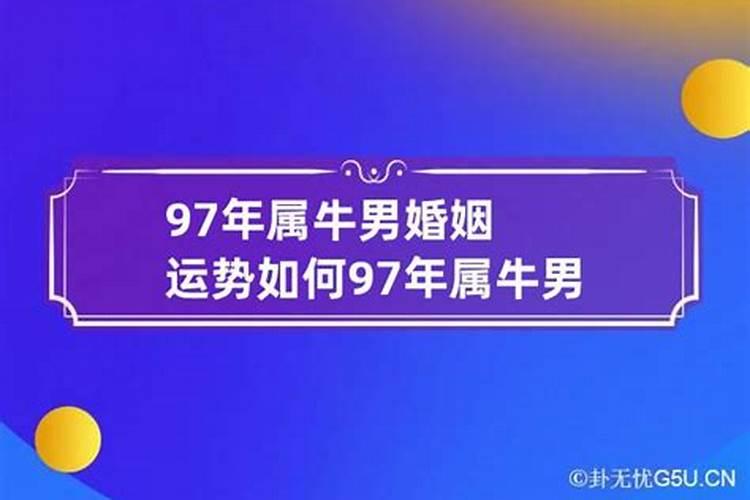 97年属牛男一生婚姻怎么样