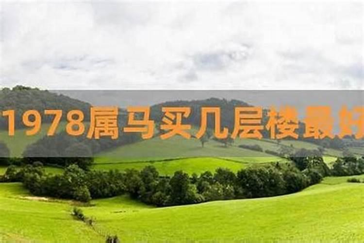 生肖属马的住楼几层好