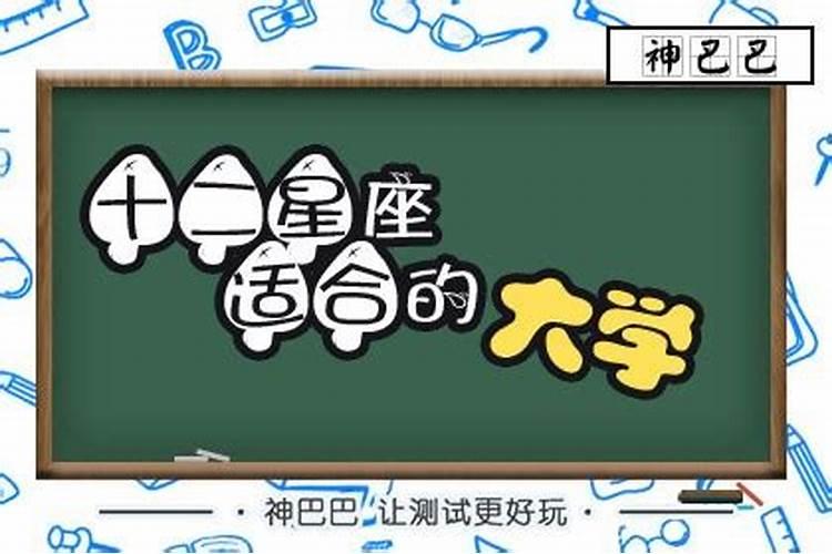 十二星座适合上的大学