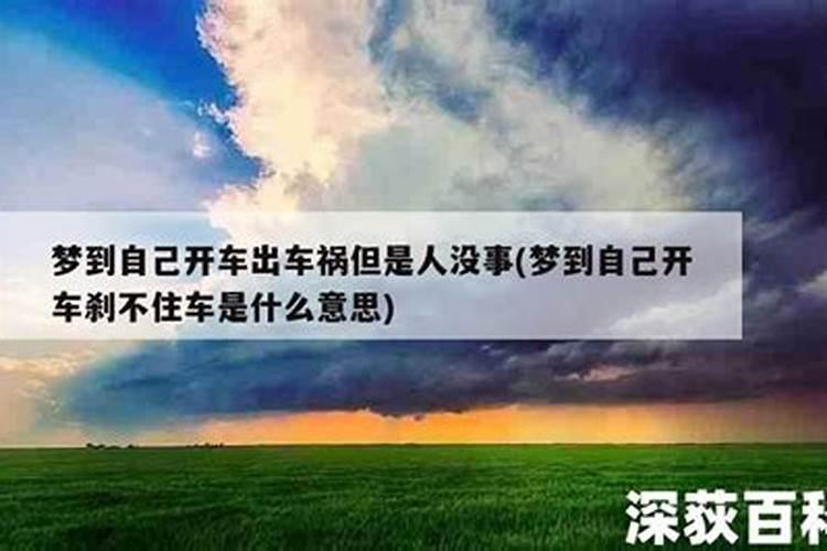 梦见大老鼠什么意思