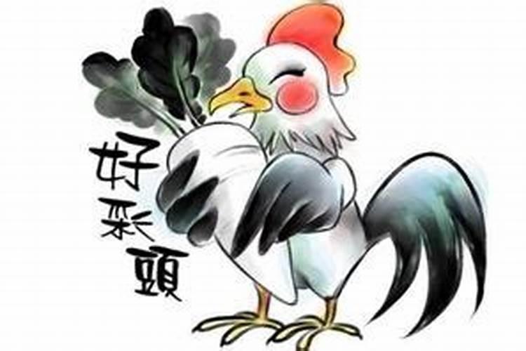 肖鸡今年运势怎么