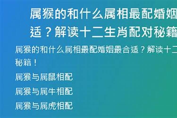 属猴的双鱼座和什么属相最配