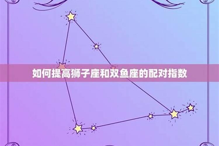 双鱼座和狮子座友情配对如何