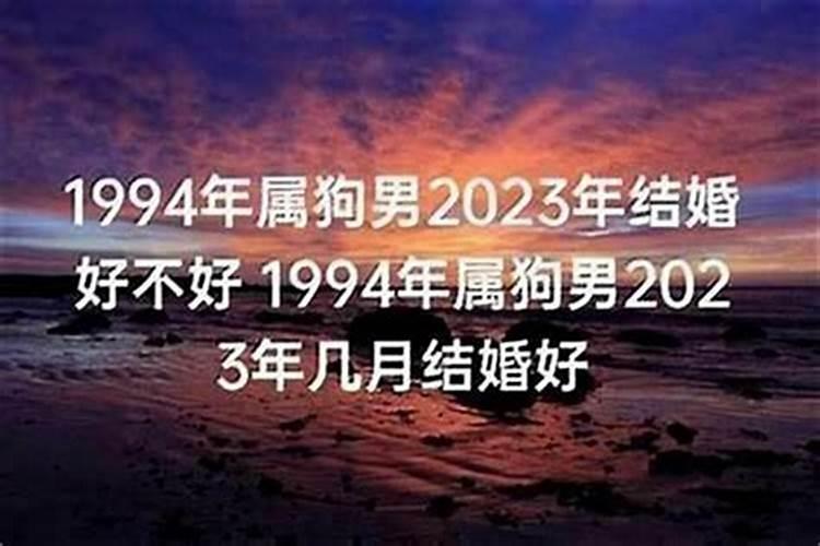 属狗2023年结婚的黄道吉日