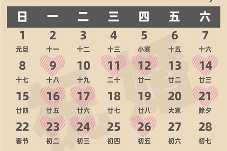 属狗2023年结婚的黄道吉日