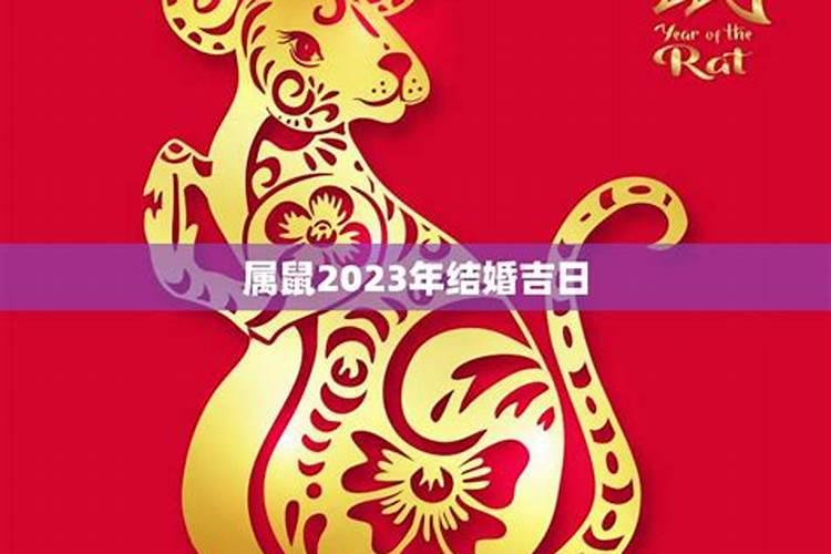 属鼠女2023年结婚的黄道吉日