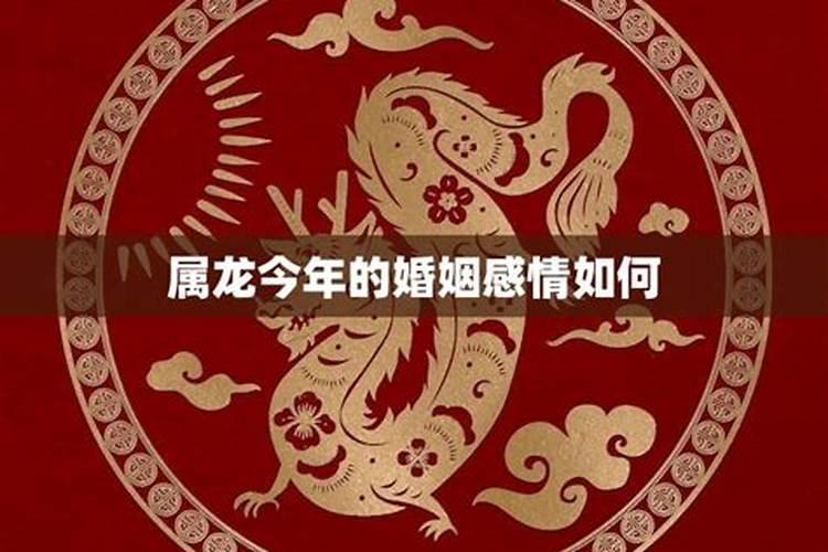 属龙今年感情婚姻如何