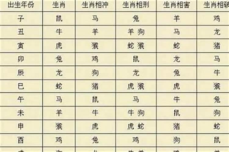 免子和猪八字合吗