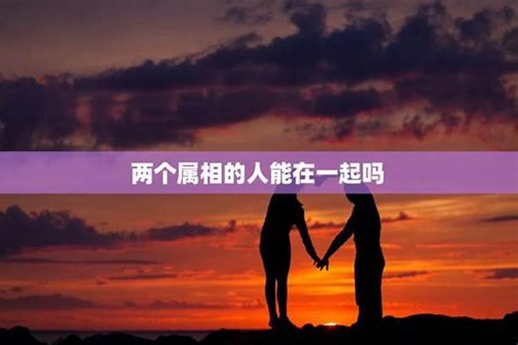 婚姻中属相相克真的不能在一起吗