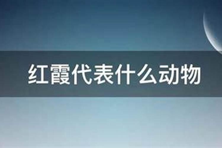 雨后天空有红霞是什么生肖