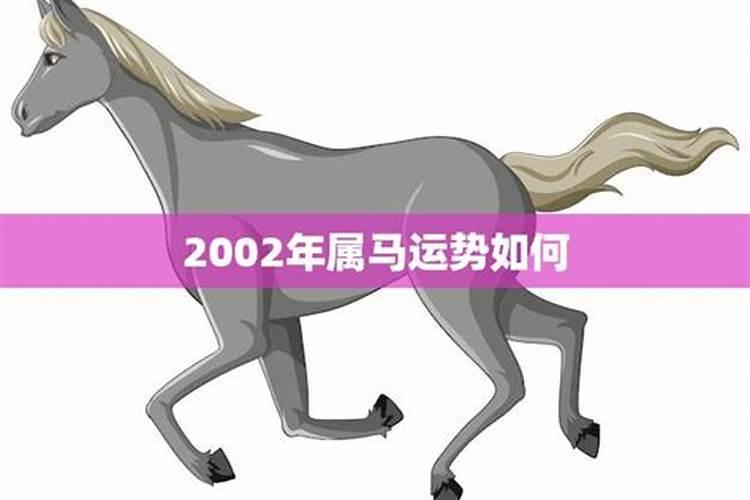 2002年属马男孩的运势吉祥物