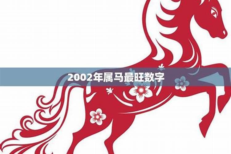 2002年属马男孩的运势吉祥物车上的