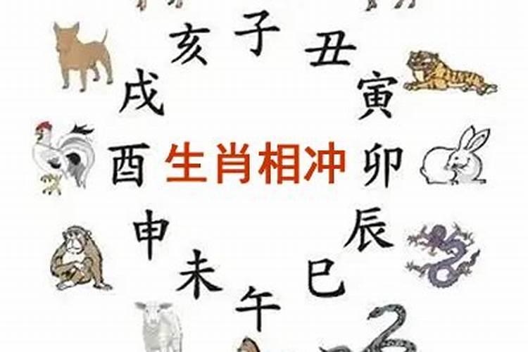 今日什么生肖相冲查询2020年10月14号？