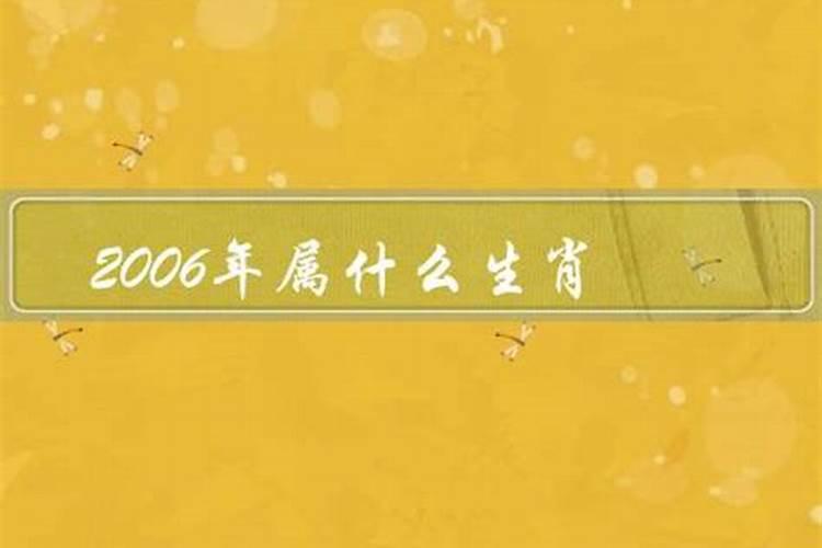 2006年属什么生肖的是金命