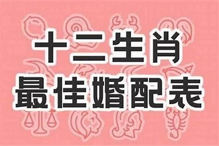 属虎男和属牛女合婚吗