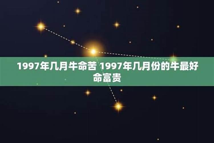 1997属牛几月份的是苦命