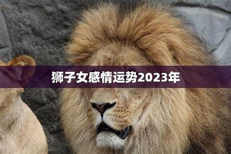 2020年狮子女婚姻破裂