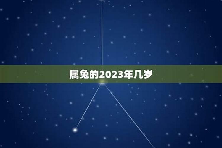 1975属兔2023年多少岁