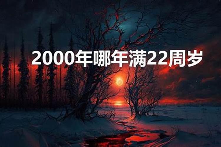 2000年今年多少岁了？属什么