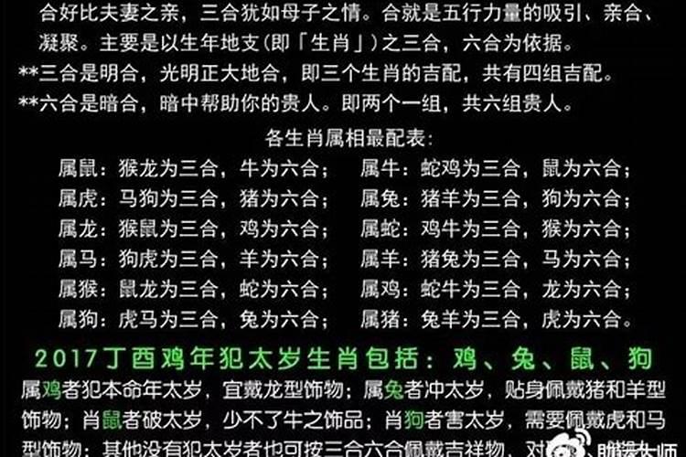 鸡狗属相如何化解