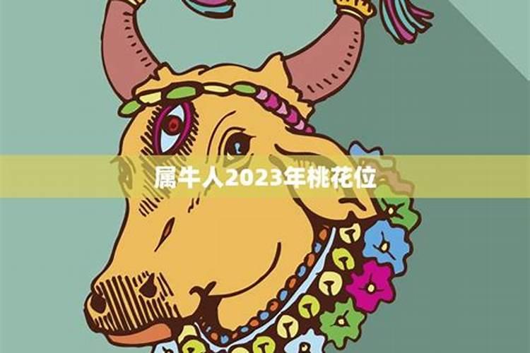 73年属牛男的2019桃花