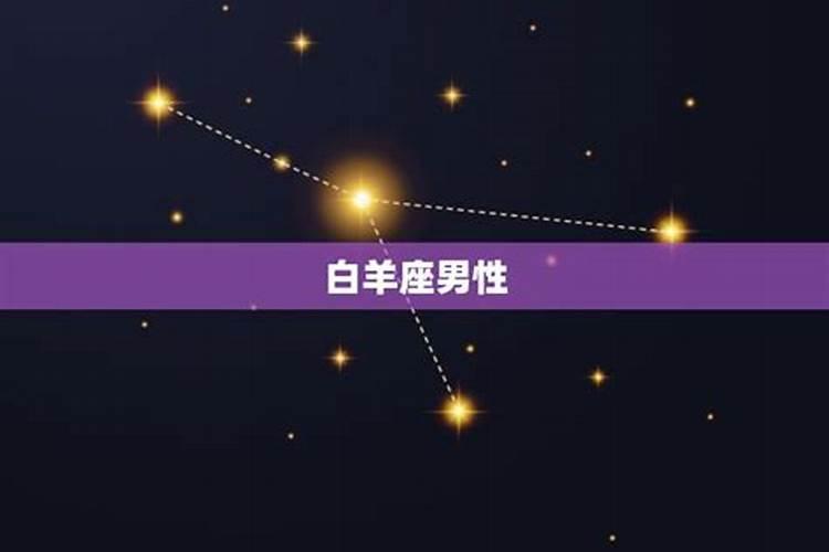 正义感很强星座男排行榜