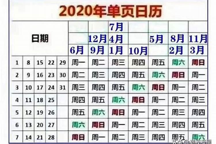 日历查询今天属相