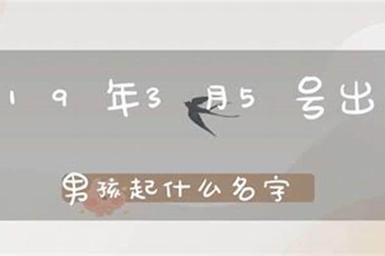 1984年3月5号出生的男人一生运势